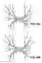 Fig. 12 - Three-dimensional object division output apparatus and its application