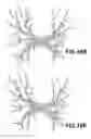 Fig. 14 - Three-dimensional object division output apparatus and its application
