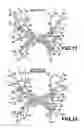 Fig. 15 - Three-dimensional object division output apparatus and its application