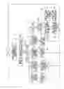 Fig. 14 - PORTABLE APPARATUS AND METHOD FOR CONTROLLING PORTABLE APPARATUS