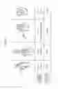 Fig. 36 - INPUT DEVICE AND METHOD FOR INPUTTING OPERATIONAL REQUEST