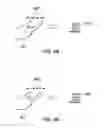 Fig. 10 - Electronic device and touch panel operation method