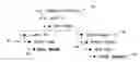 Fig. 01 - Displaying a contextual organization chart with awareness