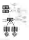 Fig. 01 - Capturing demand on storage capacity and performance capability