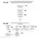 Fig. 10 - Paging of external memory