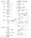 Fig. 13 - Paging of external memory