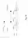 Fig. 15 - Encoding scheme for 3D vertical flash memory