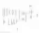 Fig. 07 - Virtual shared cache mechanism in a processing device