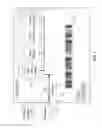 Fig. 02 - Disk image introspection for storage systems