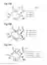 Fig. 09 - Device, system, method and program for producing fragment model