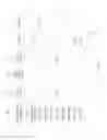 Fig. 05 - Using Toxicity Level in Treatment Recommendations by Question Answering Systems