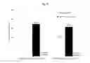 Fig. 26 - Systems, methods, and software for providing a patient-reported outcome measure of dysphagia patients with eosinophilic esophagitis
