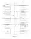 Fig. 12 - Merchandising media based on ownership audit