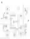 Fig. 08 - Returning to a control transfer instruction