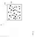 Fig. 10 - SYSTEM FOR DETECTING UV-FLUORESCENT INDICA WITH A CAMERA