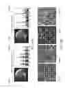 Fig. 17 - Apparatus, method, and system for image-based human embryo cell classification