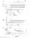 Fig. 09 - Methods, systems and devices for electronic notary with signature and biometric identifier