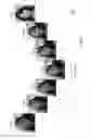 Fig. 10 - Image processing with facial features