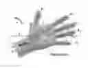 Fig. 01 - Gesture Recognition Apparatuses, Methods and Systems for Human-Machine Interaction