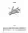 Fig. 05 - Gesture Recognition Apparatuses, Methods and Systems for Human-Machine Interaction