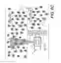 Fig. 19 - Crop quality sensor based on specular reflectance