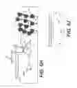 Fig. 22 - Crop quality sensor based on specular reflectance