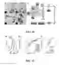 Fig. 11 - Apparatus and methods for identifying and evaluating bright spot indications observed through optical coherence tomography