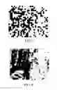 Fig. 08 - IMAGE PROCESSING METHOD AND APPARATUS USING TRAINING DICTIONARY
