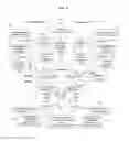 Fig. 07 - AUTONOMOUS DETECTION OF INCONGRUOUS BEHAVIORS
