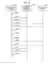 Fig. 43 - METHOD FOR CONTROLLING COMMUNICATION DEVICE, METHOD FOR PROVIDING INFORMATION IN INFORMATION MANAGEMENT SYSTEM, AND COMPUTER-READABLE RECORDING MEDIUM