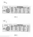 Fig. 12 - METHOD AND APPARATUS FOR TARGETING BEST CUSTOMERS BASED ON SPEND CAPACITY