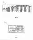 Fig. 13 - METHOD AND APPARATUS FOR TARGETING BEST CUSTOMERS BASED ON SPEND CAPACITY
