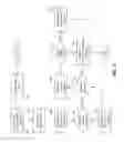 Fig. 06 - Method and System for Generating and Distributing Optimized Life Insurance Packages and Visual Representations Thereof
