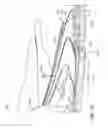 Fig. 11 - Systems and methods for surface segment data