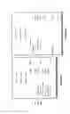 Fig. 09 - Reading, organizing and manipulating accounting data