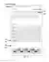 Fig. 31 - SYSTEMS AND METHODS FOR HOUSEHOLD CASH MANAGEMENT SYSTEM