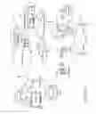 Fig. 02 - Sharing Media