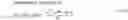 Fig. 09 - Coordinate computation device and method, and an image processing device and method