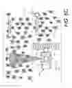 Fig. 19 - Grain quality sensor