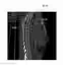 Fig. 01 - Visualization of anatomical labels