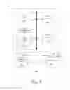 Fig. 04 - Visualization of anatomical labels