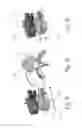 Fig. 06 - Visualization of anatomical labels