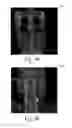 Fig. 10 - Visualization of anatomical labels