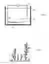 Fig. 05 - Dendritic structures and tags
