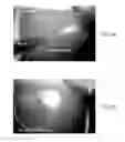 Fig. 07 - Dendritic structures and tags