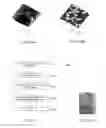 Fig. 18 - Dendritic structures and tags
