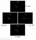 Fig. 23 - Dendritic structures and tags
