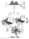 Fig. 19 - Method, system, software and medium for advanced intelligent image analysis and display of medical images and information