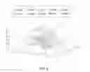 Fig. 04 - Avatar motion modification