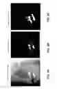 Fig. 10 - Metal artifacts reduction in cone beam reconstruction